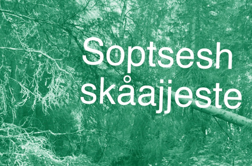 Soptsesh skåajjeste
