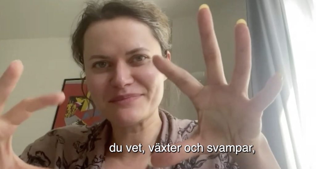 Ana Loktionova